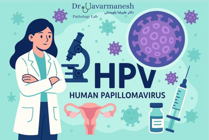 ابتلا به هپاتیت B و هپاتیت C در ورزشکاران - آزمایشگاه دکتر یاورمنش