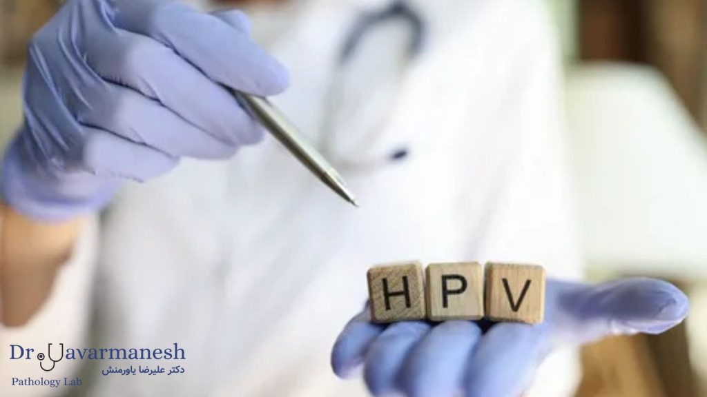 HPV چیست؟