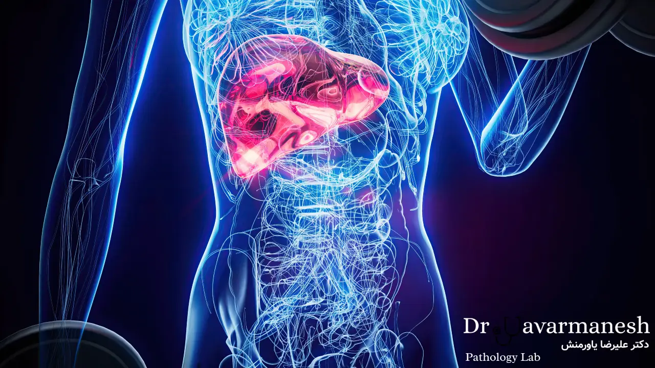 سرطان کبد چیست؟